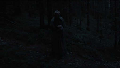 Hagazussa: A Heathen's Curse (2017) A mix between psychological horror and paranormal terror