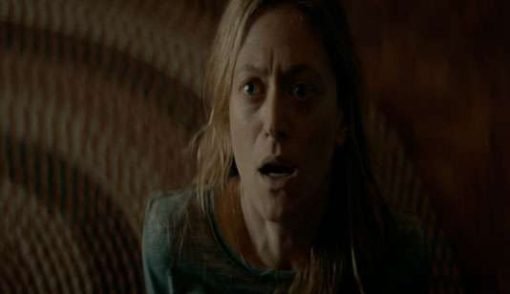 Marin Ireland -  The Dark and the Wicked (2020)